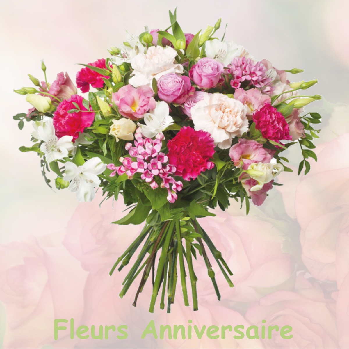 fleurs anniversaire SAINT-DOULCHARD